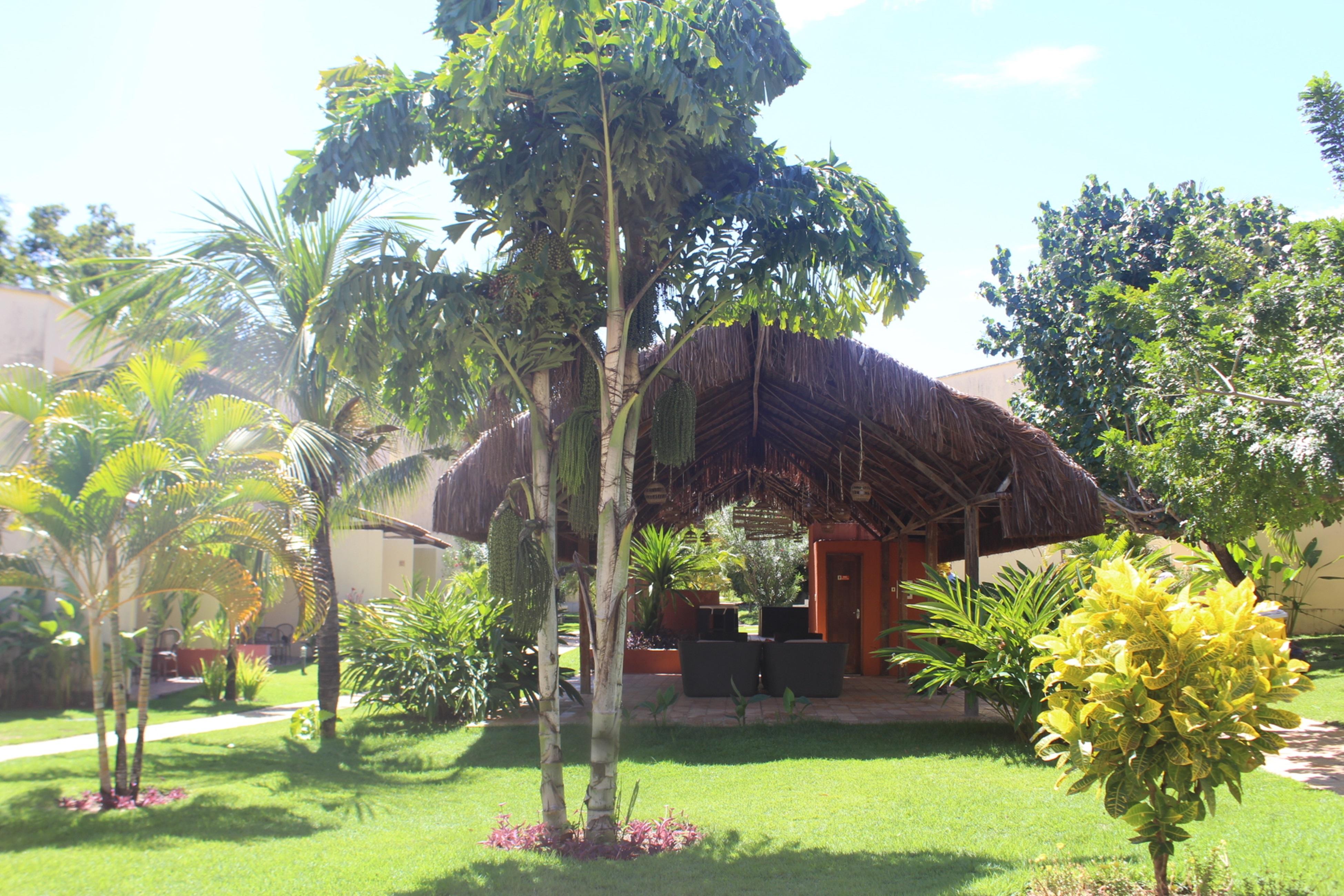 Praia de Pipa Hotel Pipa Atlantico מראה חיצוני תמונה
