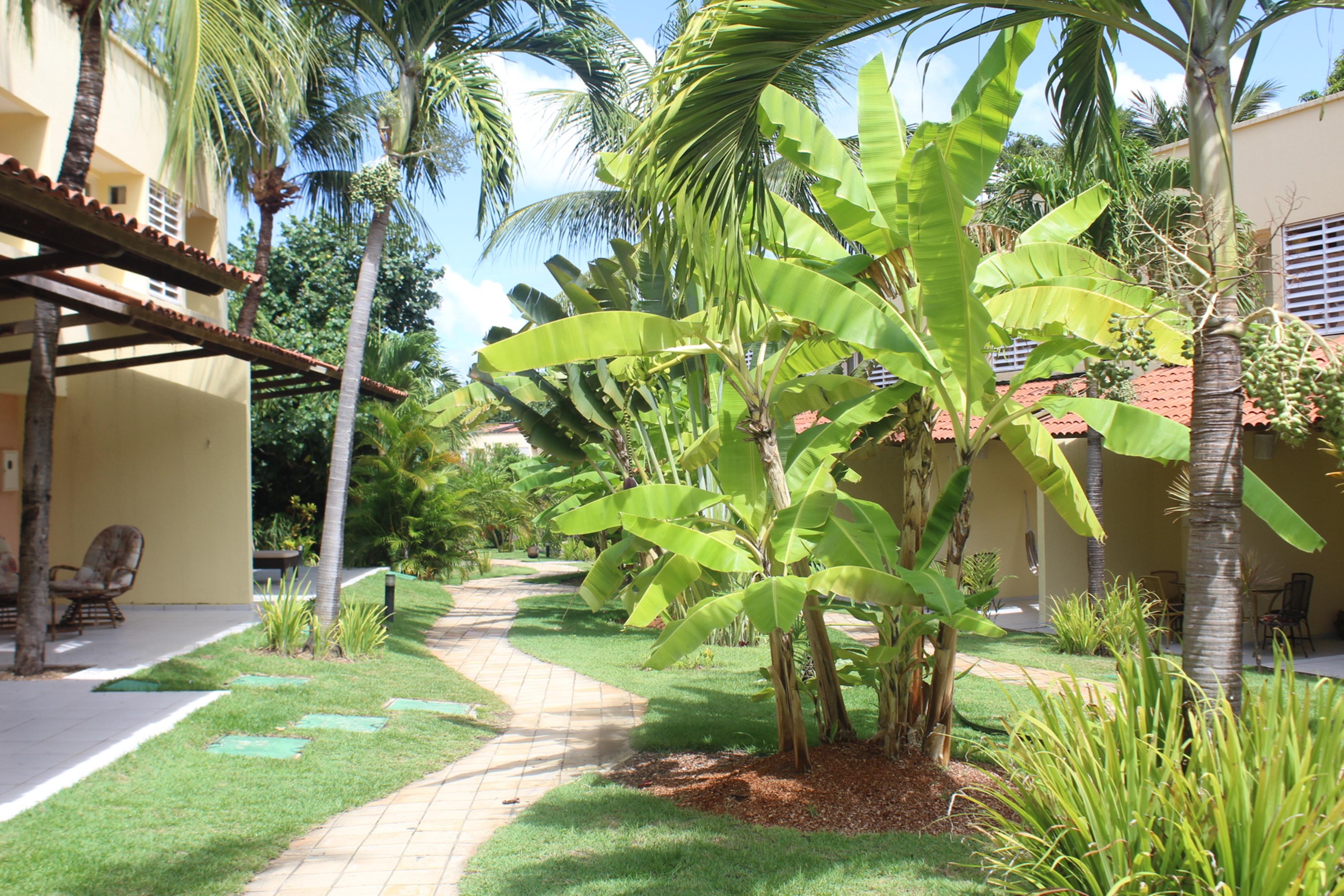 Praia de Pipa Hotel Pipa Atlantico מראה חיצוני תמונה