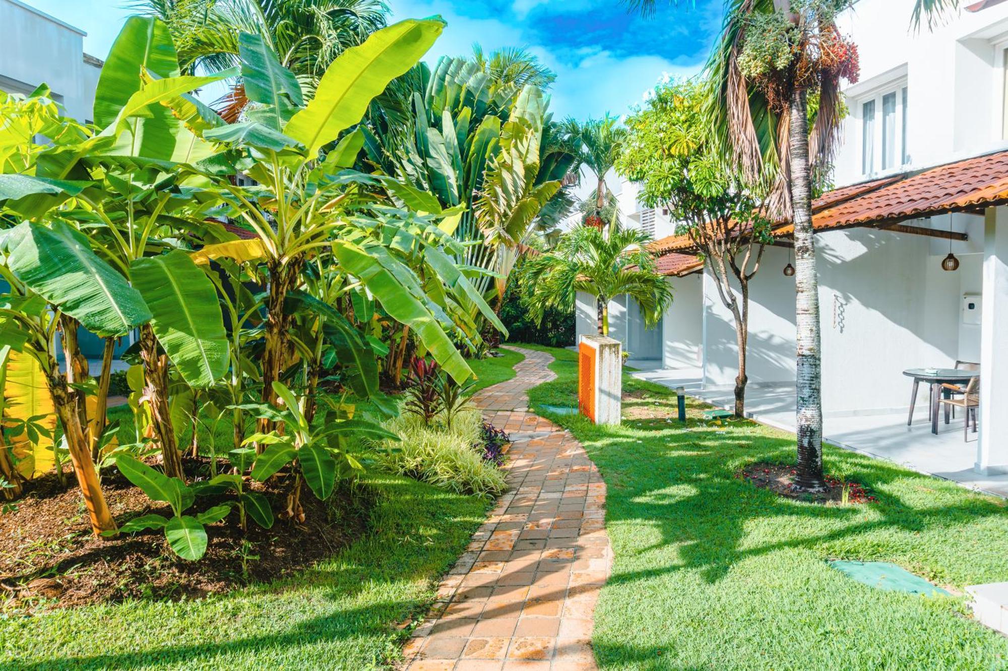 Praia de Pipa Hotel Pipa Atlantico מראה חיצוני תמונה